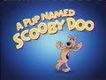 Cartoon Network A Pup Named Scooby Doo Powerhouse Bumper Compilation Blue