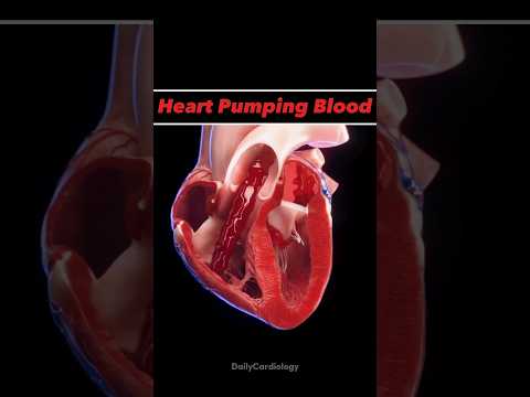 HEART ANIMATION !! #heart #anatomy #animation #bloodcirculation #cardiology #shorts