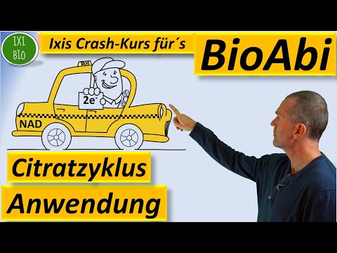 Citratzyklus Aufgaben - Anwendung Abiturrelevante Übungen zum Zitronensäurezyklus (Krebskreis)