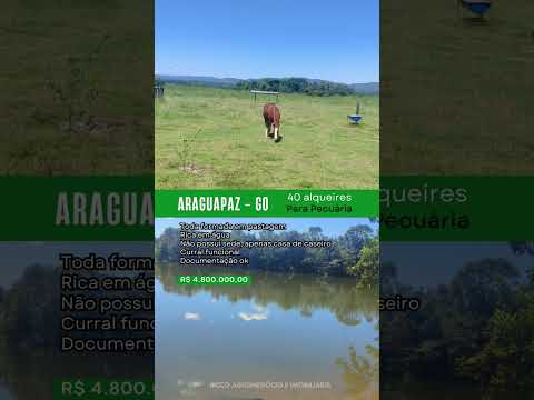Fazenda em Araguapaz Goiás/ whatsapp 62 99373-6407