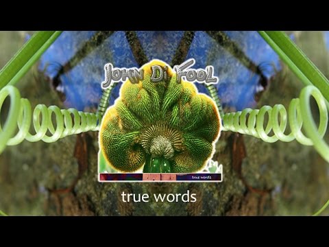 - true words - John DiFool