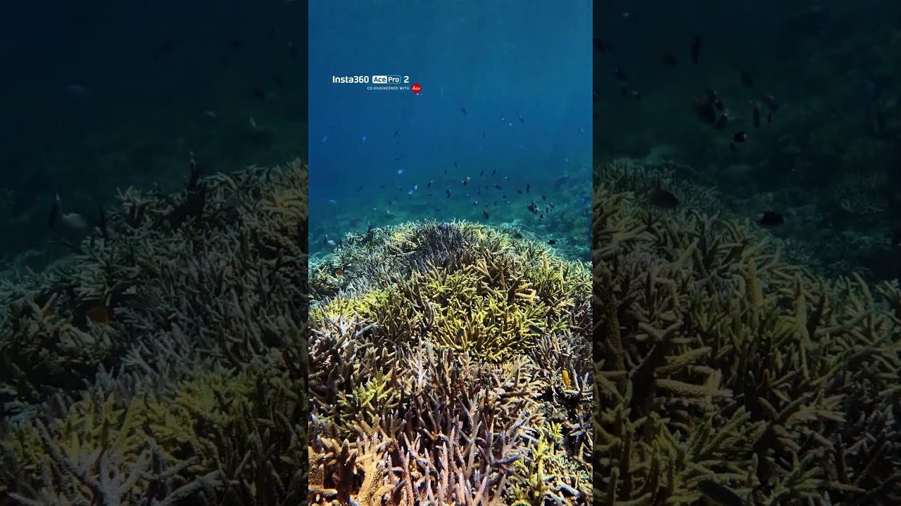 Insta360 Ace Pro 2 - サンゴ礁 Video facade placeholder