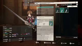 ＃01【配信】これはゲームであって遊びではない【Echoes of Ainclad】