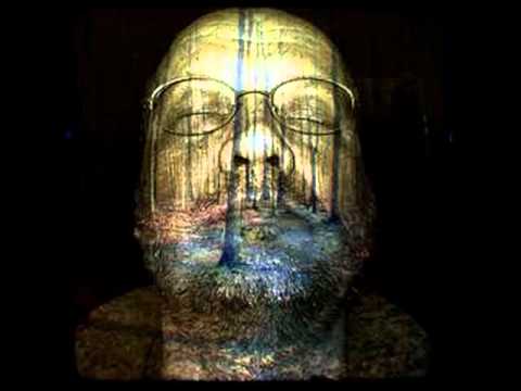 Thomas Langner - Butterfly