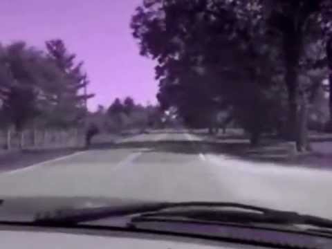 In Theory Hoot Ride