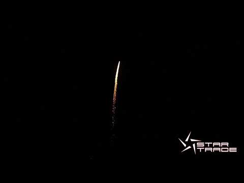 0402022 30mm 8 Schuss Golden Ti Willow Tail