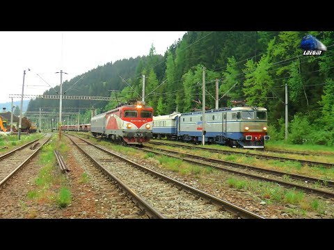 Trenuri & Trafic Feroviar în Vatra Dornei/Trains & Rail Traffic in Vatra Dornei - 04 June 2021
