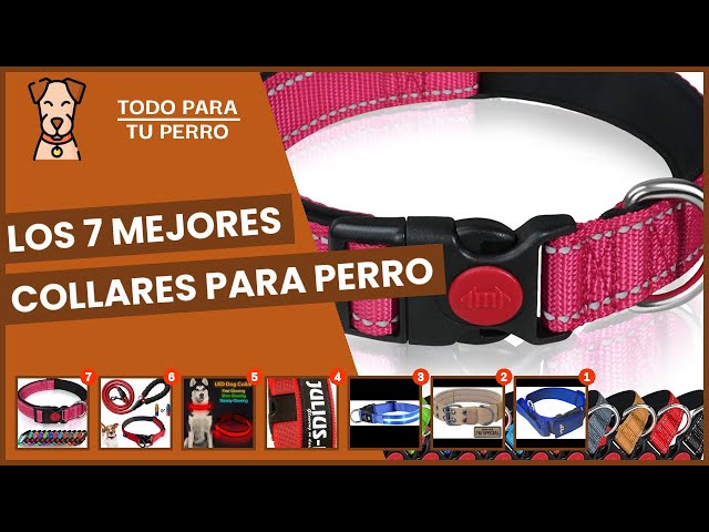 Vídeo relacionado con Ibera gifts - Collar Perro Personalizado con Nombre para Mascotas Pequeñas, Reflectante, Ajustable De 25 a 40 cm, Grabado Láser, Seguro y Cómodo (Rosa, S pequeño)