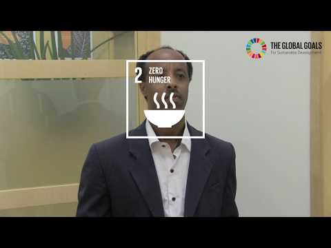 Kassa Teka - Guest Researcher Chalmers