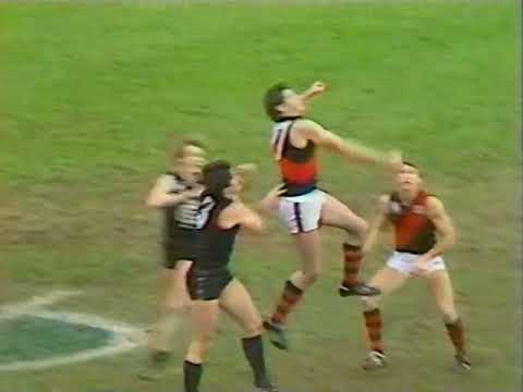 1983 Elimination Final - Essendon vs Carlton