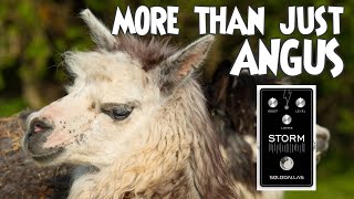 Video thumbnail for Can it Jazz/Rock/Country/More? - SOLO DALLAS Schaffer Replica STORM Pedal w/ multiple amps & guitars by gearmanndude