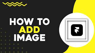 How To Add Image on Framer (Quick Tutorial)