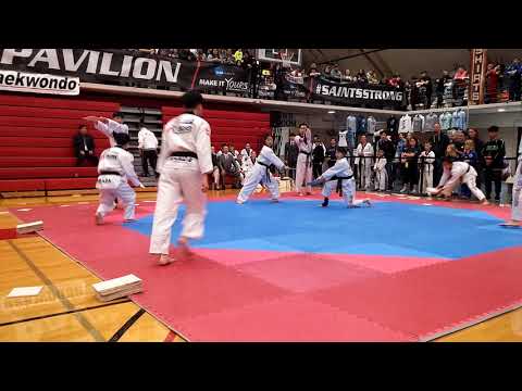 Best Taekwondo Demo Team Competition