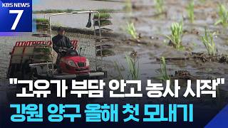 “고유가 부담 안고 농사 시작”…강원 양구 올해 첫 모내기 / KBS  2026.04.21.