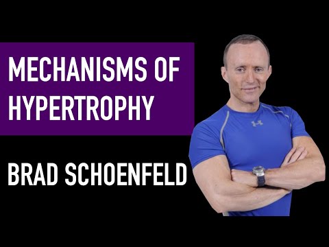 BRAD SCHOENFELD: Mechanisms of Hypertrophy, RIR, Loaded Stretch