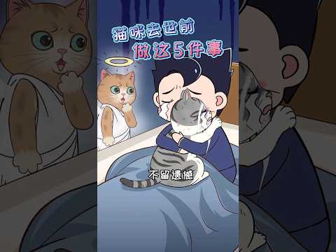 貓死掉怎麼辦