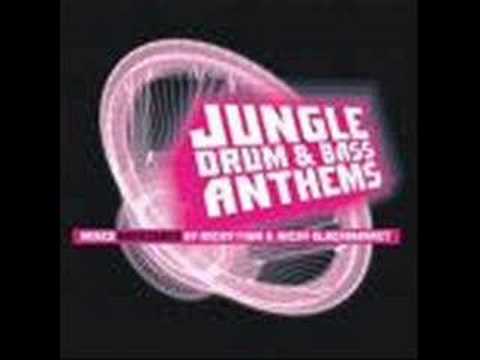 skibadee & shabba innovation dnb