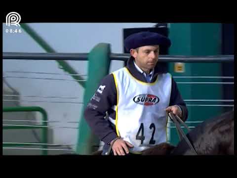 Aberta de Esteio (RS) – 3° lugar fêmeas – Quentucha do Aipo (Prova: Mangueira II)