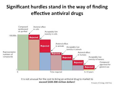 Virology 2013 Lecture #21 - Antivirals