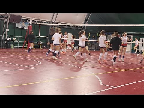 U14 Volare - Normac Vgp