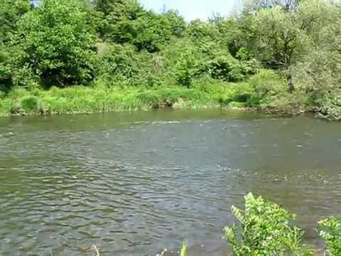 Bela Palanka, kupaliste Sopka.avi