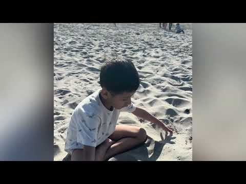 favorite beach destination”🌊✨