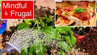 RAINWATER HOUSEPLANT CARE | FRESH BREAD & MOUTHWATERING PIZZA