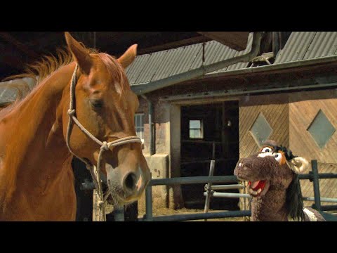 Eine Möhre für Zwei: Zurück zu den Wurzeln | Sesamstraße