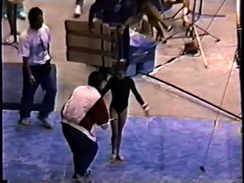 1991 U.S. Gymnastics Championships - Women's Individual All-Around Final (USGF HV)