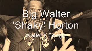 Big Walter Horton-Walter's Boogie