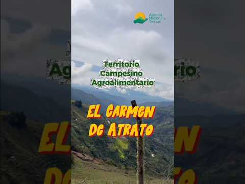Visita técnica en el TECAM de Carmen de Atrato (Chocó)