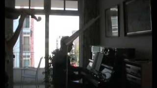 Wolfgang Amadeus Mozart, Violin Concerto nr.3, 1st movement