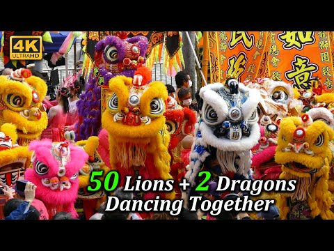 2023 New Year's Day Lions Dance & Dragons Dance, Hong Kong. Chinese Traditional Cultural Performance