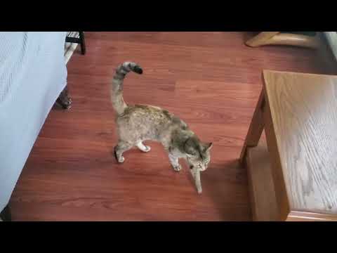 5-3-2022 Vlog - Nervous Cleaning