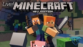 Wii U Minecraft Join Server Wii U Minecraft Join Server