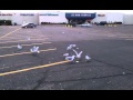 Parkinglot Seagulls