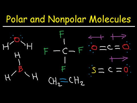 What makes a molecule polar?