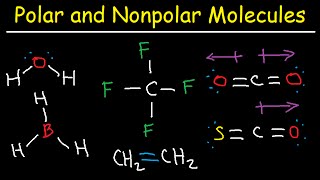 Polar and NonPolar Molecules: How To Tell If a Molecule is Polar or Nonpolar