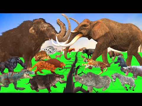Prehistoric Animals Epic Battle Ice Age Animals vs Modern Mammals Animal Revolt Battle Simulator