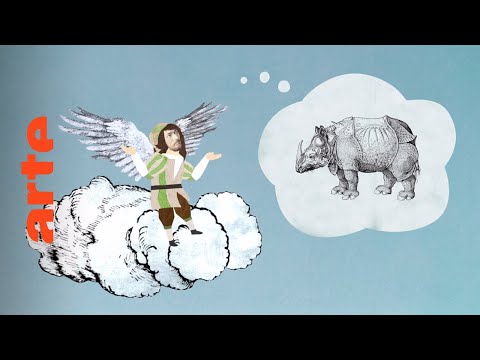 Verwirrung bei Dürer: Wie sieht ein Nashorn aus? | Karambolage | ARTE