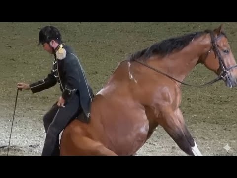 GOOD NEWS PAGE and NYC Weekly Rooms | #1 Renters Network 🔑