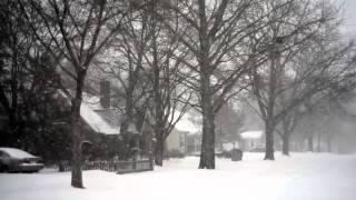 Champaign Illinois Winter Storm January 2014 (no sound)