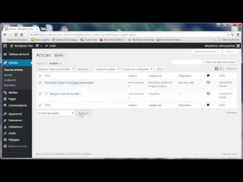 Tutoriel Wordpress 23 Les différentes pages d accueil