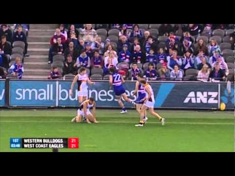 Schofield 2013 highlights