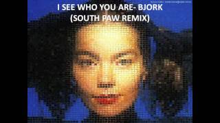 Bjork - I See Who You Are (South Paw Remix)