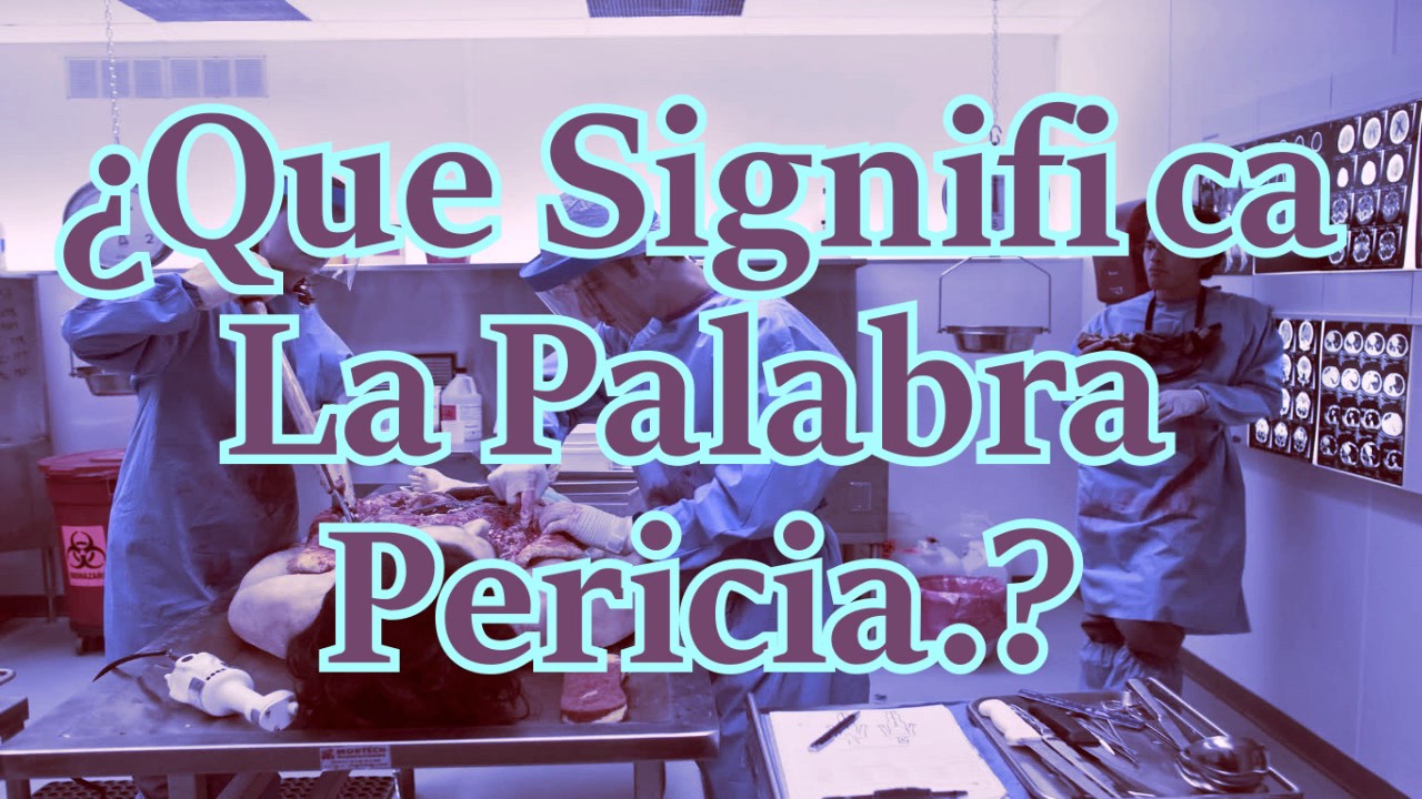 ¿Que Significa La Palabra Pericia?