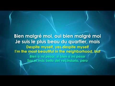 Carla Bruni - Le plus beau du quartier - French Song with Subtittles