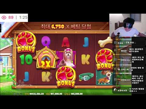 이미지