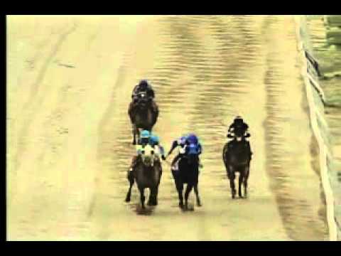 Pimlico 5/16/14 race 7 - Rollicking Stakes
