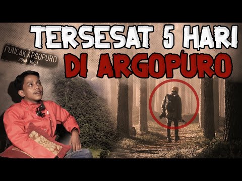5 HARI TERSESAT DI GUNUNG ARGOPURO, KISAH MISTIS PENDAKIAN